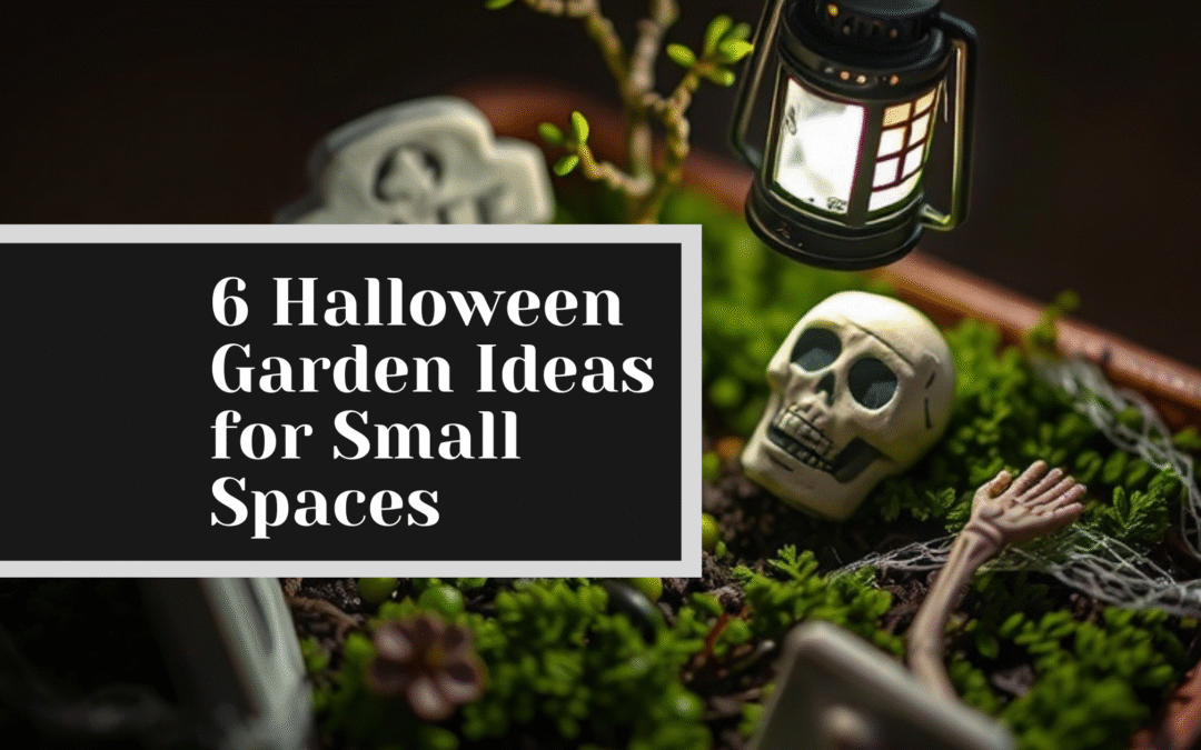 6 Halloween Garden Ideas for Small Spaces